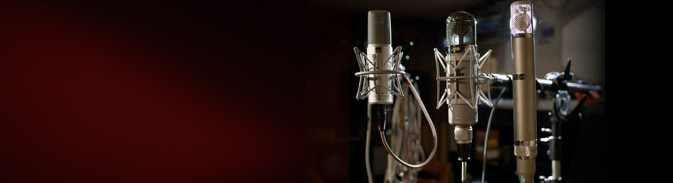 LPA SPECIALS     Temporary Deals - Extra special prices  Sign up for our newsletter and become a Gold Member. Or mail verkoop@lobbesproaudio.nl to receive all Gold Member prices!